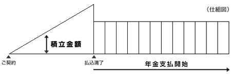 年金保険