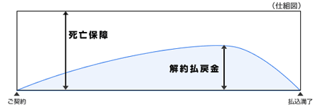 定期保険